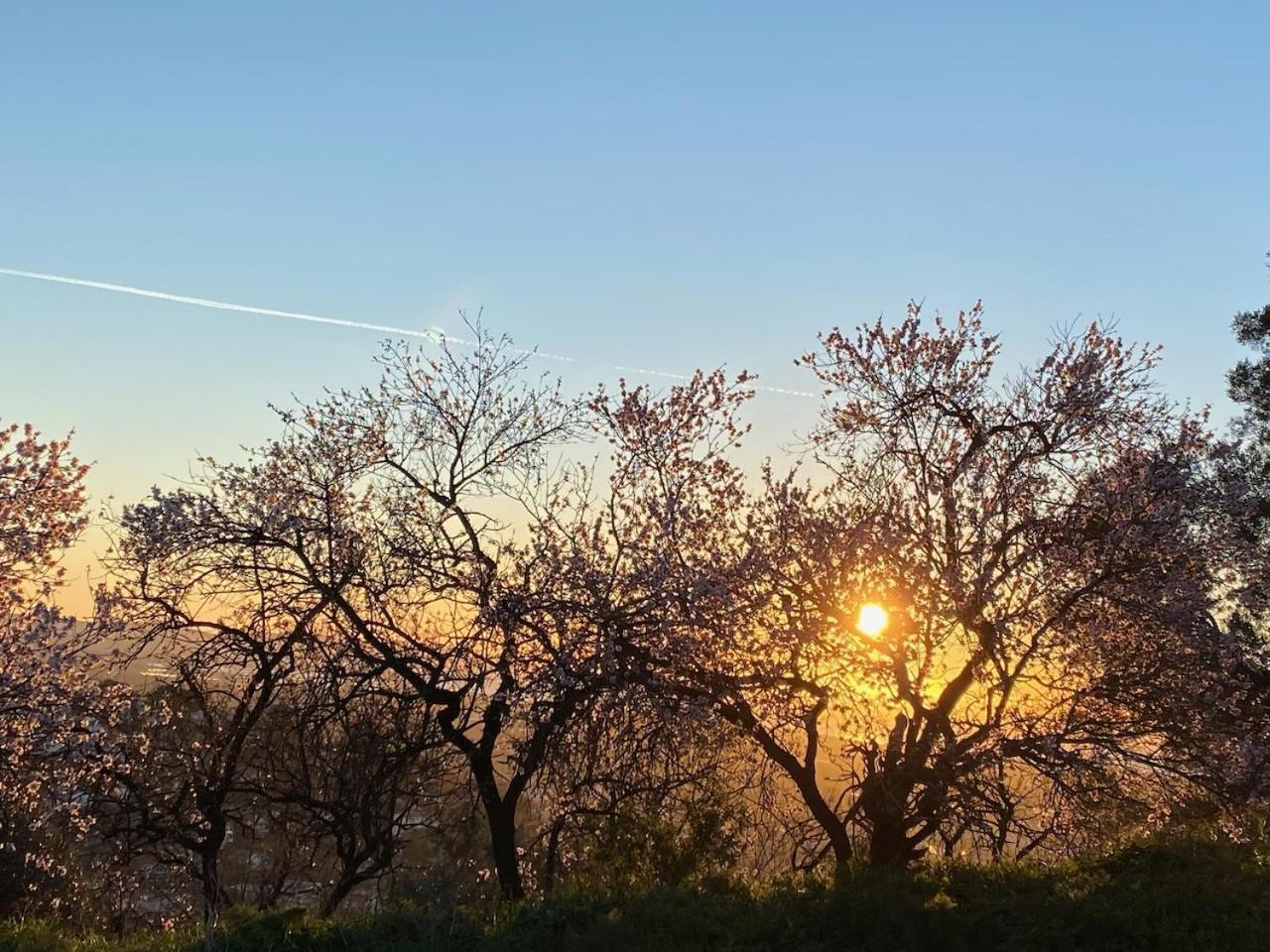 La Suite Sainte Claire Hyères Kültér fotó